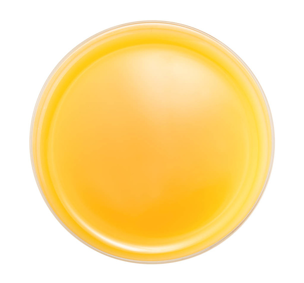 vaso de jugo de naranja, fruta cítrica bebida fondo blanco
 - Foto, Imagen