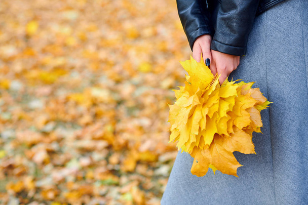 žena s podzimním listím v městském parku, venkovní portrét - Fotografie, Obrázek