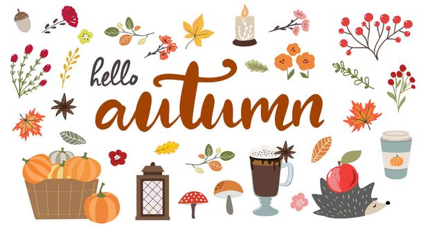 Hello Autumn hand drawn typography banner with hand drawn fall elements, hedgehog, leaves and branches.Cute autumn vector illustrations in modern sketch style - Vektor, Bild