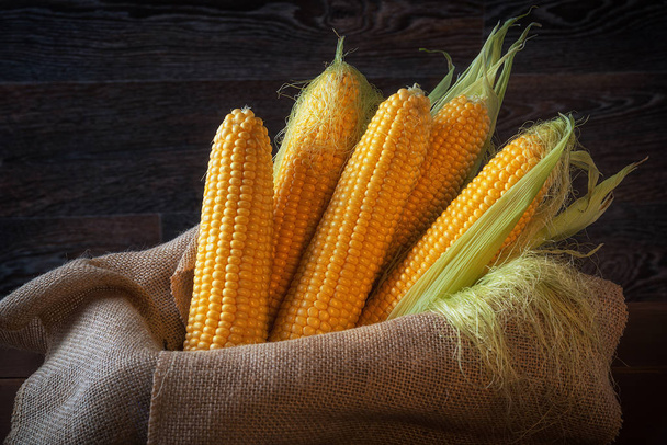 Fresh corn in a basket with burlap. - Fotoğraf, Görsel