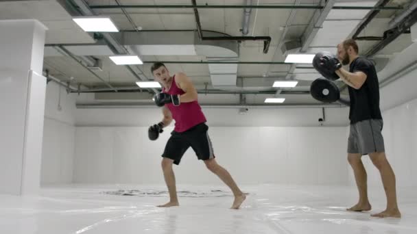 Door een MMA te vechten met een trainer, werkt hij de opvallende techniek van armen en benen uit, traint hij de reactie van duiken en afwijkingen van stakingen. Workout met een partner op de poten van klappen - Video