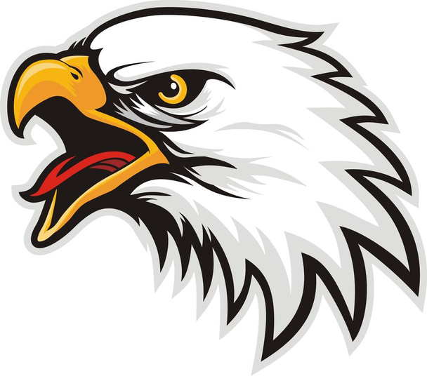 Orzeł głowa logo dla t-shirt, Hawk maskotka Sport wear typografii godło graficzny, sportowe ubrania stempel - Wektor, obraz