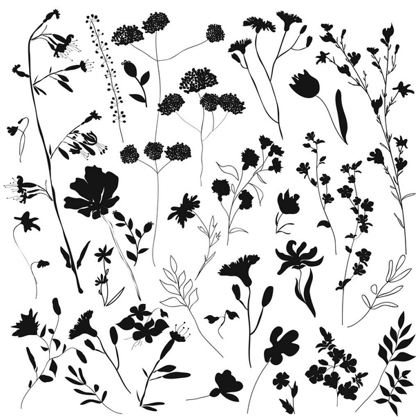 Grandes siluetas conjunto botánico flor elementos florales
 - Vector, imagen