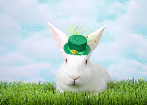 Retrato de um coelho albino branco deitado na grama verde usando um chapéu festivo do Dia de São Patrício olhando para o espectador. Painterly céu fundo com espaço de cópia
. - Foto, Imagem