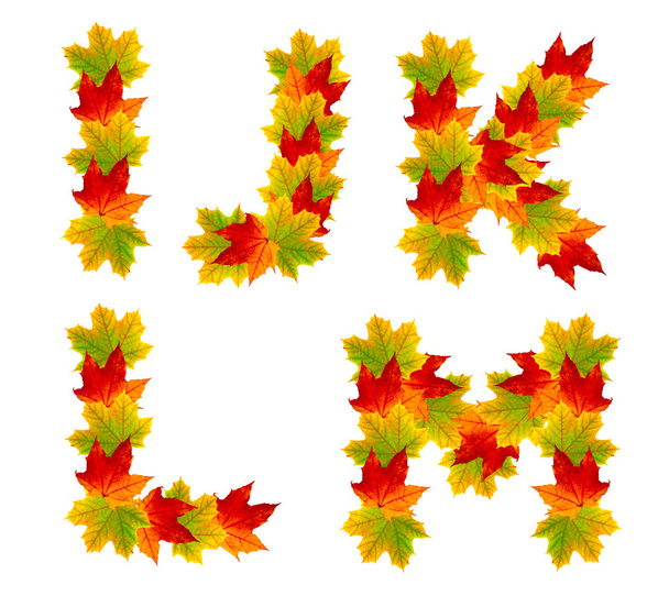 Autumn alphabet isolated on white - Foto, immagini
