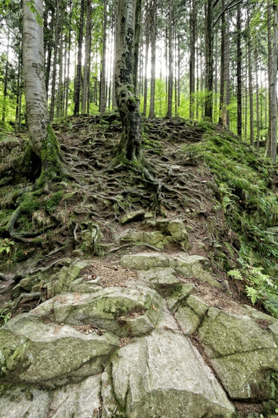 Big stones under steep hill - Photo, Image
