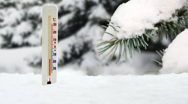 thermometer on snow and fir branch background - Zdjęcie, obraz