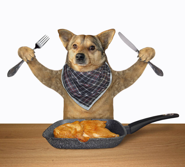 Dog with frying pan of chicken - Photo, Image