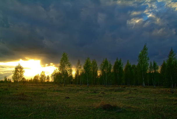 барвистий захід сонця над полем навесні, Russi - Фото, зображення