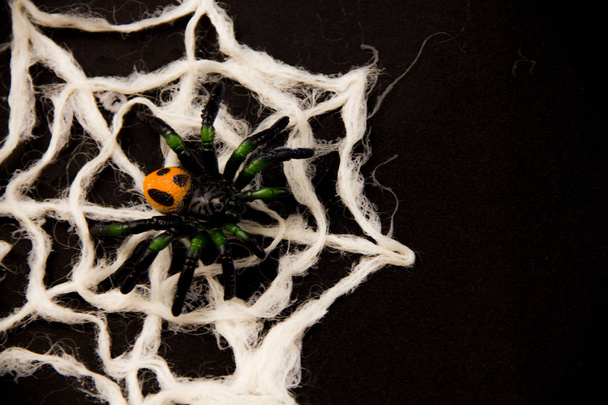 Decoración de Halloween. Arañas, Web
 - Foto, imagen