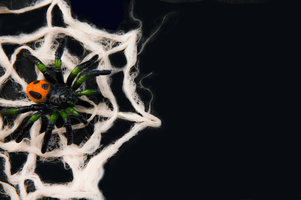 Halloween dekoráció. Pókok, web - Fotó, kép