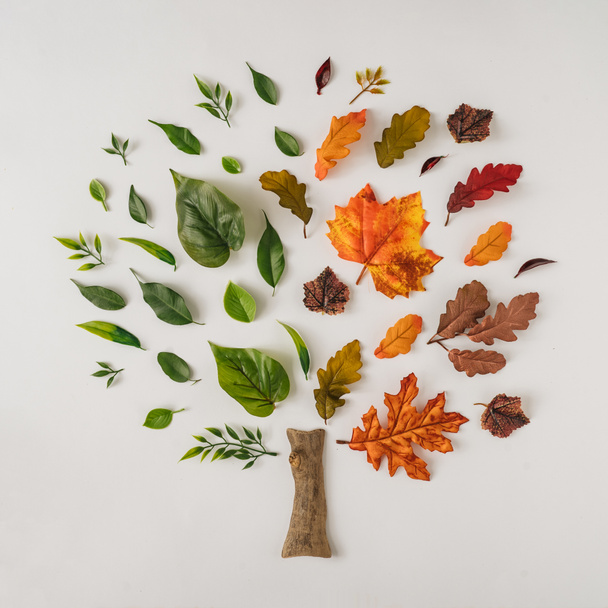 Δημιουργική σεζόν διάταξη του πολύχρωμο καλοκαίρι και το φθινόπωρο φύλλα και κλαδιά σε μορφή δέντρου. Εποχιακή έννοια.  - Φωτογραφία, εικόνα