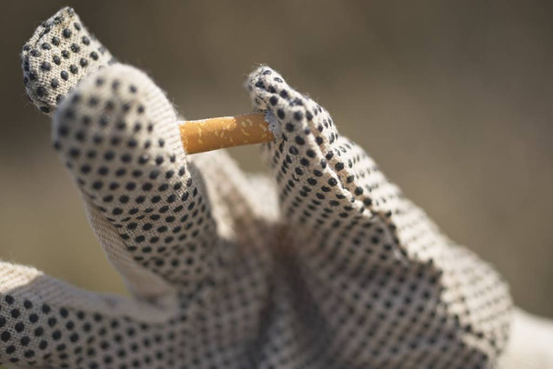 ヴォロンテアーによるタバコの吸殻のコレクション - 写真・画像