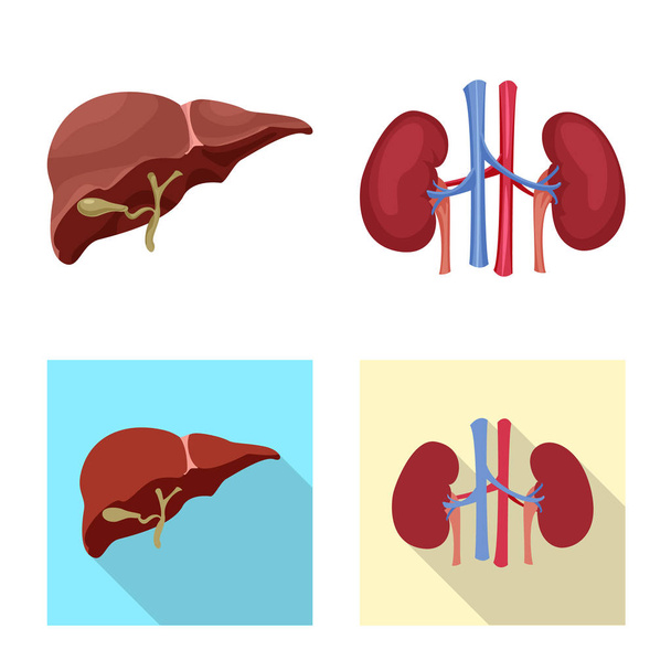 Vector illustration of body and human symbol. Collection of body and medical stock symbol for web. - Vettoriali, immagini