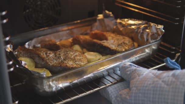 Mão em uma luva puxa fora do forno um prato de batatas cozidas no forno e bifes de salmão
 - Filmagem, Vídeo