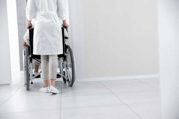 Doctor is moving the patient on wheelchair - Valokuva, kuva