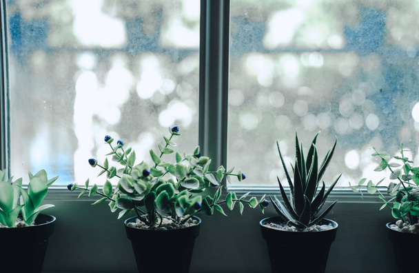 árbol de plantas artificiales en maceta cerca de la ventana
 - Foto, imagen