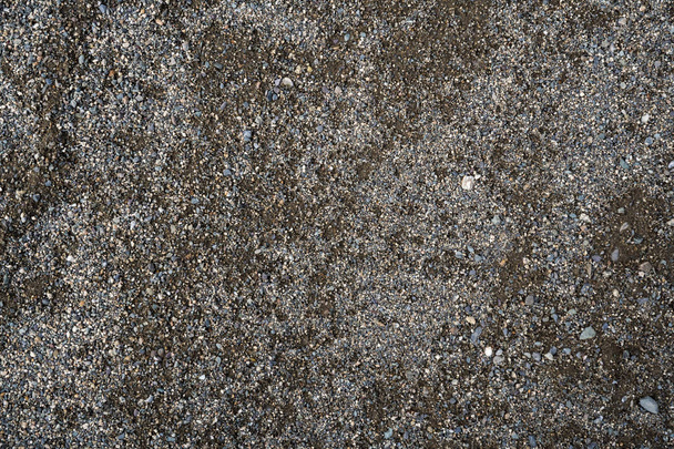The texture of a shallow river stone. Pebble Background Image - Photo, Image