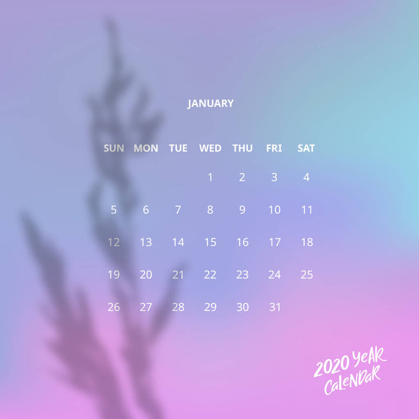 Calendario vettoriale Design per gennaio del 2020 Anno con Overlay Branch. Settimana Inizia Domenica
. - Vettoriali, immagini