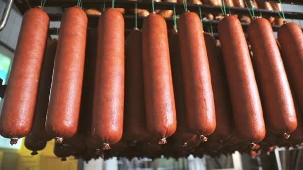 Sausage which is suspended on the shelves, dries in the storage room. Panorama of the sausage which is suspended on laces in the refrigerator. - Footage, Video