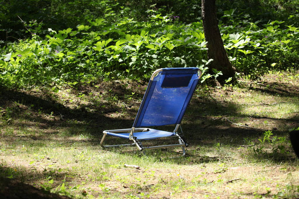 blue recliner chair in a wood with copy space for your text - Photo, Image