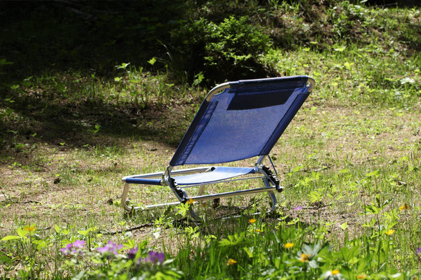 fauteuil inclinable bleu dans un bois avec espace de copie pour votre texte
 - Photo, image