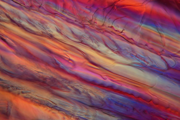 Punaviini mikroskoopin alla, Zinfandel
 - Valokuva, kuva