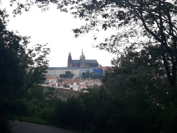 Vista de la Catedral de San Vito en Praga
 - Foto, imagen
