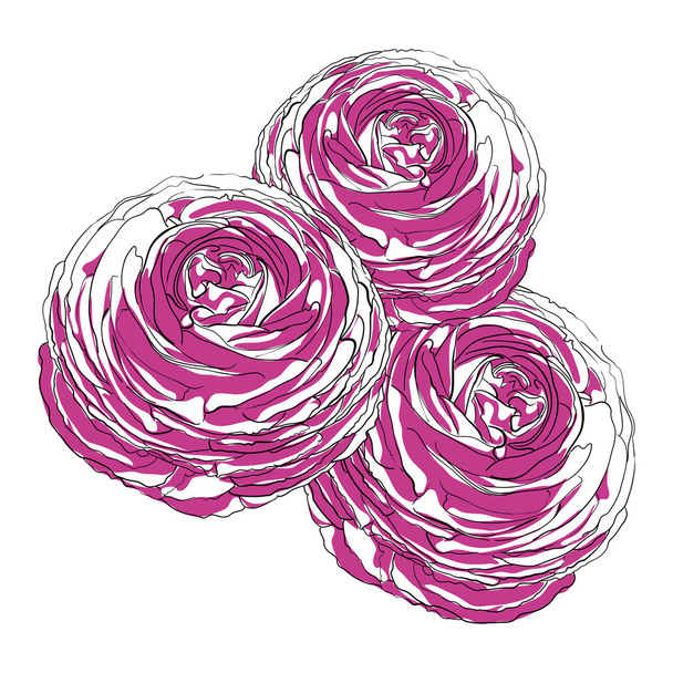 Flowers on white - Vector, Image