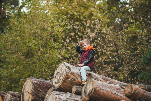 Осінній портрет маленького хлопчика в осінньому парку на стопі колод
. - Фото, зображення