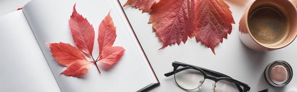 panoramatický záběr notebooku u červených listů z hroznů, šálku kávy, sklenic a nádoby s červení na bílém stole - Fotografie, Obrázek