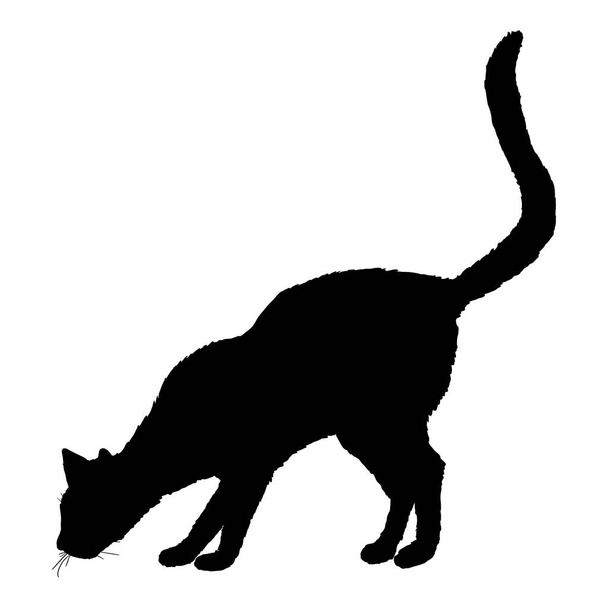 Sniffing Cat SIlhouette. Vector Black Feline Logo. - ベクター画像