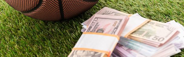 panoramic shot of euro and dollar banknotes on green grass, sports betting concept - Photo, Image