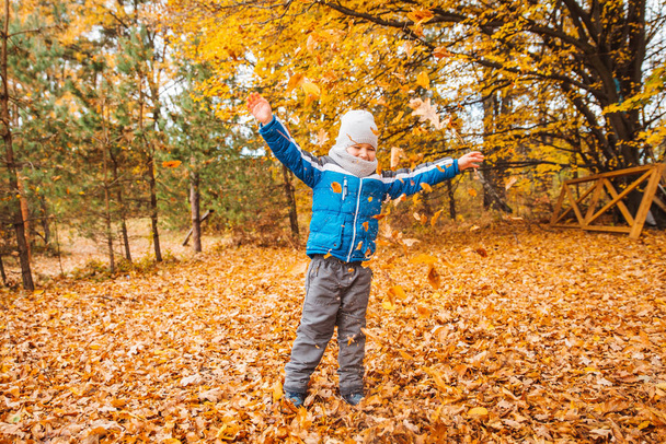Маленький мальчик играет с желтыми листьями в осеннем парке
 - Фото, изображение
