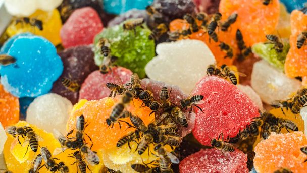 ゼリーミックス砂糖上のミツバチは甘いゼリーと風味のフルーツをロールアップ - 写真・画像