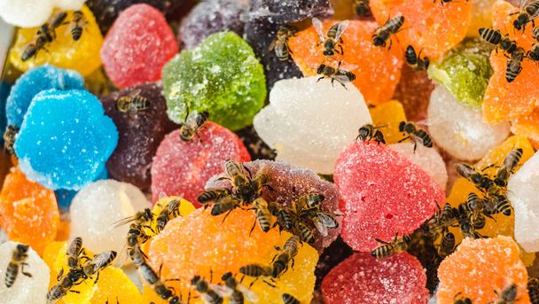ゼリーミックス砂糖上のミツバチは甘いゼリーと風味のフルーツをロールアップ - 写真・画像