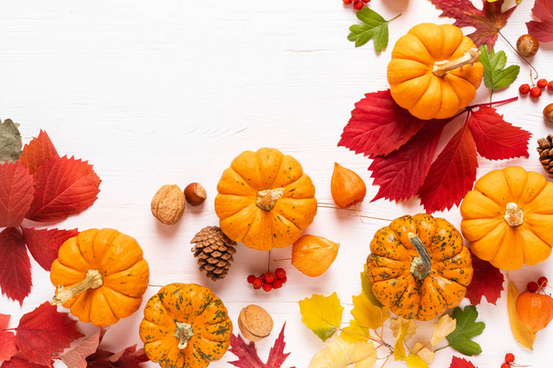 Ünnepi őszi sütőtök dekoráció őszi levelek, bogyók, dió, fehér háttér. Hálaadás napja vagy Halloween ünnep, betakarítás fogalmát. Felülnézet lakás Lay kompozíció a másolási hely a köszöntés - Fotó, kép