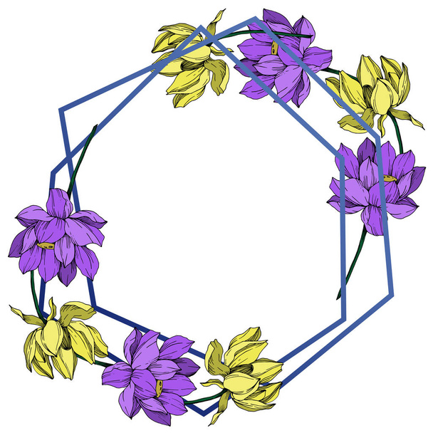 Vektor Lotus Blumen botanische Blume. Schwarz-weiß gestochene Tuschekunst. Rahmen Rand Ornament Quadrat. - Vektor, Bild