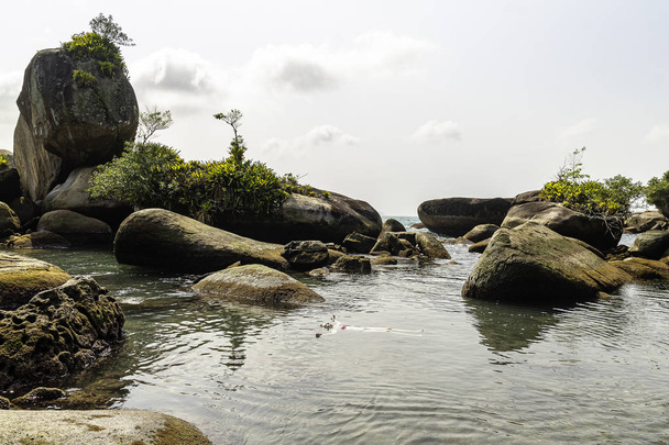 Beau modèle flottant sur piscine naturelle, Trindade, Rio de Janeiro, Brésil
. - Photo, image