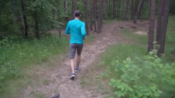 slow motion blanke atleet in grijze shorts en een blauwe longsleeve die loopt in het bos, concept van een gezonde levensstijl - Video