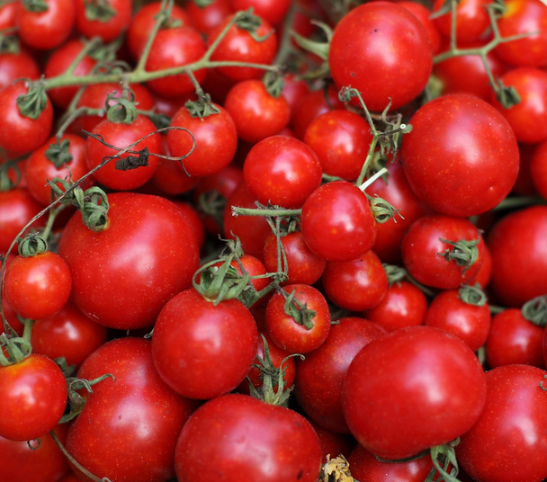 κόκκινες ντομάτες - Φωτογραφία, εικόνα