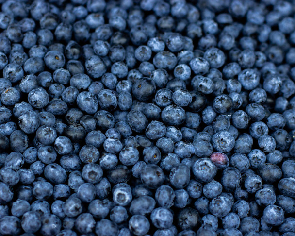 Blueberries, ripe blue black berries, background wallpaper top view - Fotó, kép