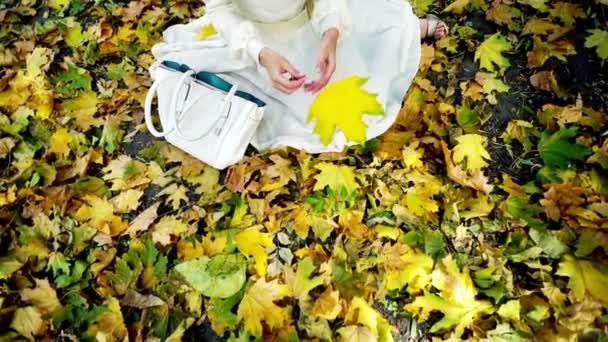 ファッションと歌詞スタイルの秋の女の子は葉をピックアップ - 映像、動画