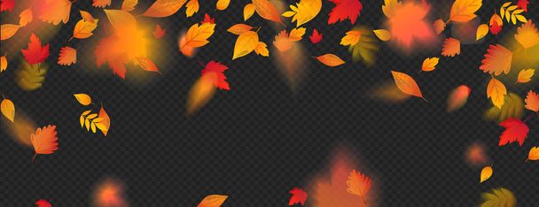 オレンジの秋カラフルな葉が落下効果を飛ぶ. - ベクター画像