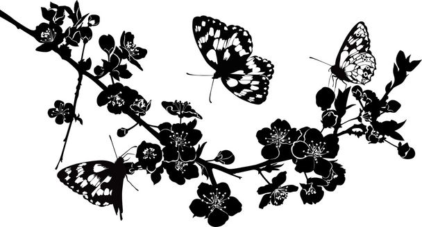 twig kersenbloesem en vlinders - Vector, afbeelding