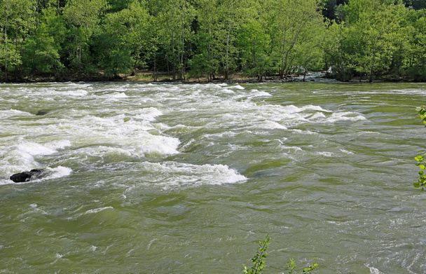 New River stream - Sandstone Falls State Park, Δυτική Βιρτζίνια - Φωτογραφία, εικόνα