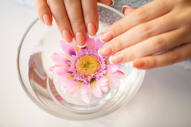 Красиві жіночі нігті з французьким манікюром, в студії краси
 - Фото, зображення