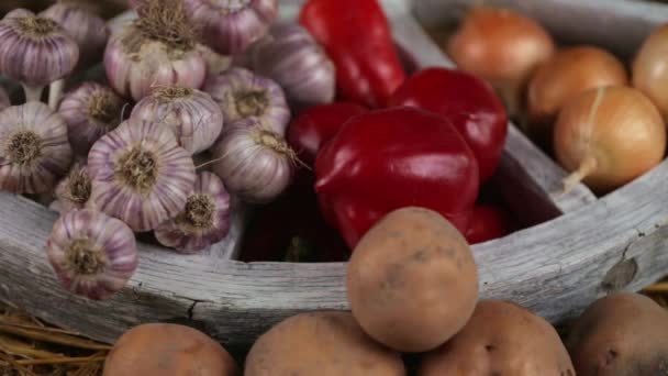 Verse groenten liggen op een oud wiel in het hooi. Aardappelen, knoflook, uien, paprika. - Video