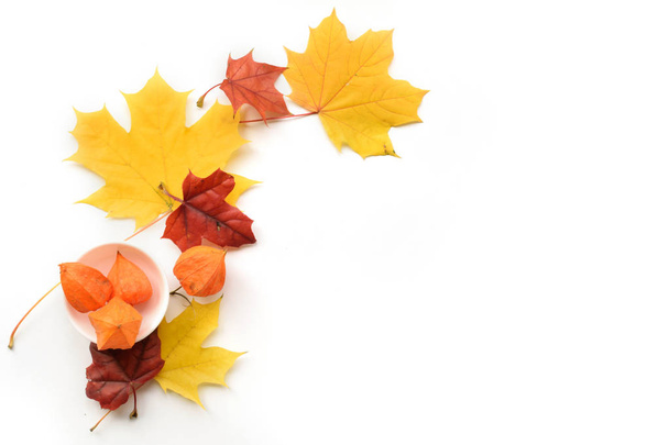 Autumn composition of frame of maple leaves and physalis. Flat lay, top view - Foto, Bild