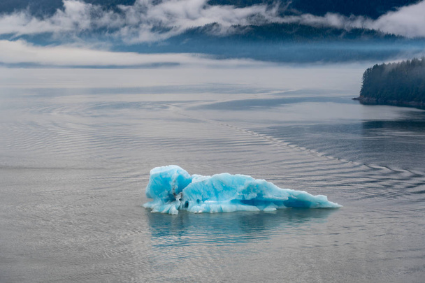 Gletsjer kalf zweeft in Holkham Bay - Foto, afbeelding